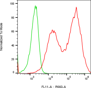 Rabbit-anti CFHR2 monoclonal antibody