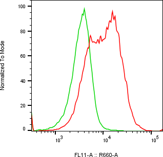 Rabbit-anti PLAU monoclonal antibody