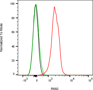 Rabbit-anti SPARC monoclonal antibody