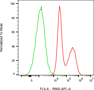 Rabbit-anti TTR monoclonal antibody