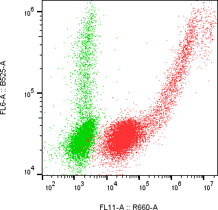 Rabbit-anti ORM1 monoclonal antibody