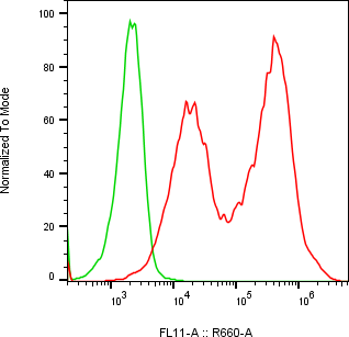 Rabbit-anti AFM monoclonal antibody