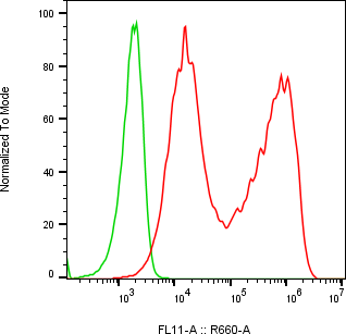 Rabbit-anti REG3A monoclonal antibody