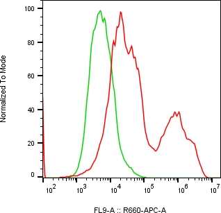 Rabbit-anti IL22 monoclonal antibody
