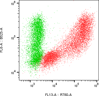 Rabbit-anti C1S monoclonal antibody