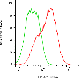 Rabbit-anti CCL23 monoclonal antibody