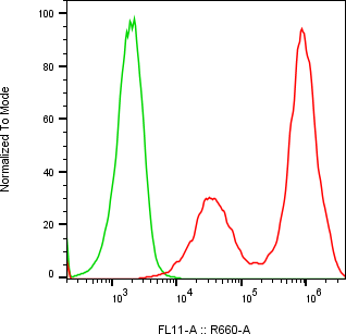 Rabbit-anti CBLN4 monoclonal antibody