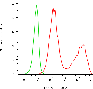 Rabbit-anti VSIG2 monoclonal antibody