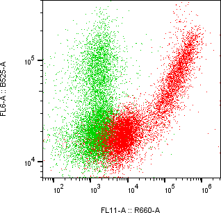 Rabbit-anti GIF monoclonal antibody