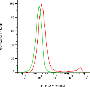 Rabbit-anti CTRL monoclonal antibody