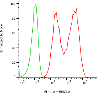 Rabbit-anti IL6ST monoclonal antibody