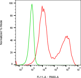 Rabbit-anti VSIG2 monoclonal antibody