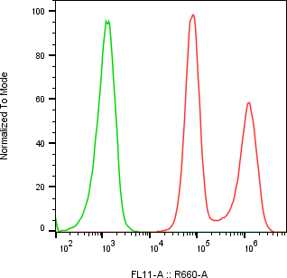 Rabbit-anti CD83 monoclonal antibody
