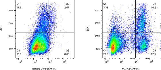 Rabbit-anti FCGR2A monoclonal antibody