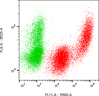 Rabbit-anti CSN3 monoclonal antibody