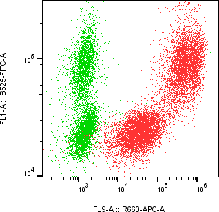 Rabbit-anti REG1B monoclonal antibody