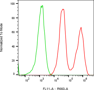 Rabbit-anti PTGDS monoclonal antibody