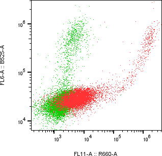 Rabbit-anti CLEC3B monoclonal antibody