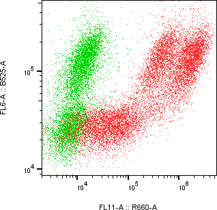 Rabbit-anti CSH2 monoclonal antibody