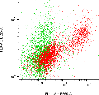 Rabbit-anti CNTFR monoclonal antibody