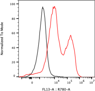Rabbit-anti VCAM1 monoclonal antibody