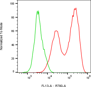 Rabbit-anti CCL18 monoclonal antibody
