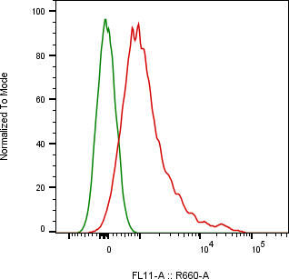 Rabbit-anti CD81 monoclonal antibody