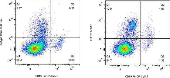 Rabbit-anti FCER2 monoclonal antibody
