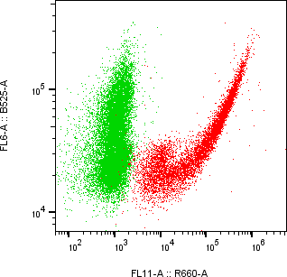 Rabbit-anti MATN4 monoclonal antibody