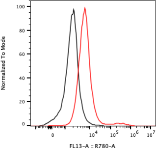 Rabbit-anti KIRREL1 monoclonal antibody