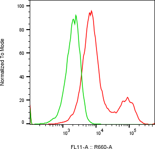 Rabbit-anti JAM2 monoclonal antibody