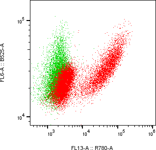 Rabbit-anti SLITRK6 monoclonal antibody
