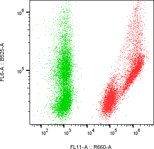 Rabbit-anti CEACAM8 monoclonal antibody
