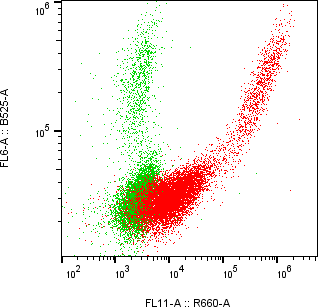 Rabbit-anti CLEC3B monoclonal antibody