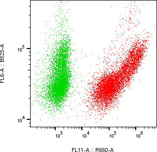 Rabbit-anti SMOC1 monoclonal antibody