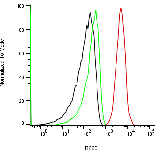 Rabbit-anti AMHR2 monoclonal antibody