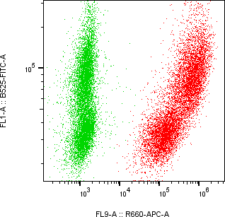 Rabbit-anti CCL16 monoclonal antibody