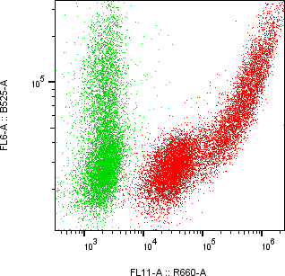 Rabbit-anti DEFB115 monoclonal antibody