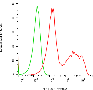 Rabbit-anti AMBP monoclonal antibody
