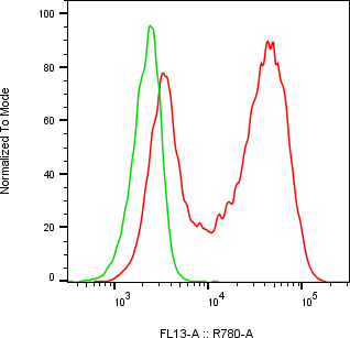 Rabbit-anti VTN monoclonal antibody