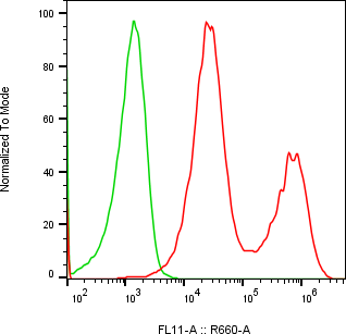 Rabbit-anti CFHR2 monoclonal antibody