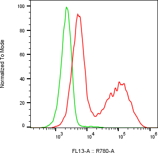 Rabbit-anti SFTPB monoclonal antibody