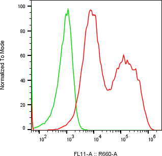 Rabbit-anti PAEP monoclonal antibody