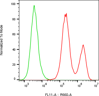 Rabbit-anti IGFBP4 monoclonal antibody