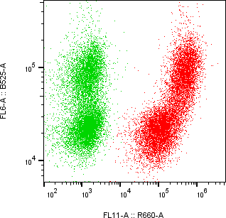 Rabbit-anti CNTFR monoclonal antibody