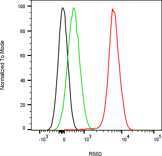 Rabbit-anti CLEC3B monoclonal antibody