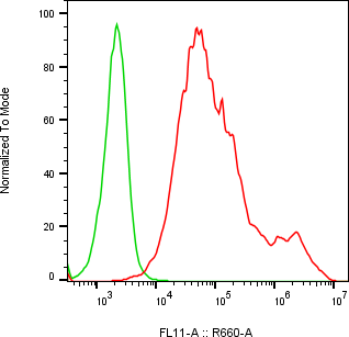 Rabbit-anti MXRA8 monoclonal antibody