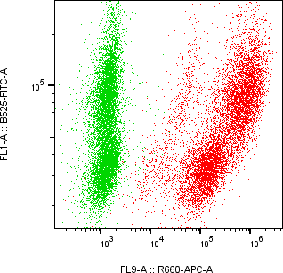 Rabbit-anti CCL16 monoclonal antibody