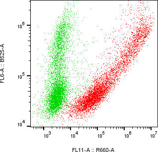 Rabbit-anti LRRN1 monoclonal antibody