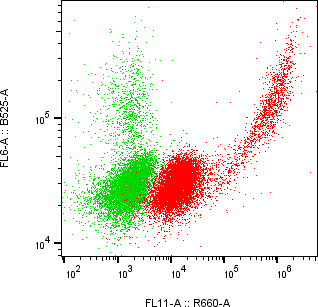 Rabbit-anti SERPINF2 monoclonal antibody